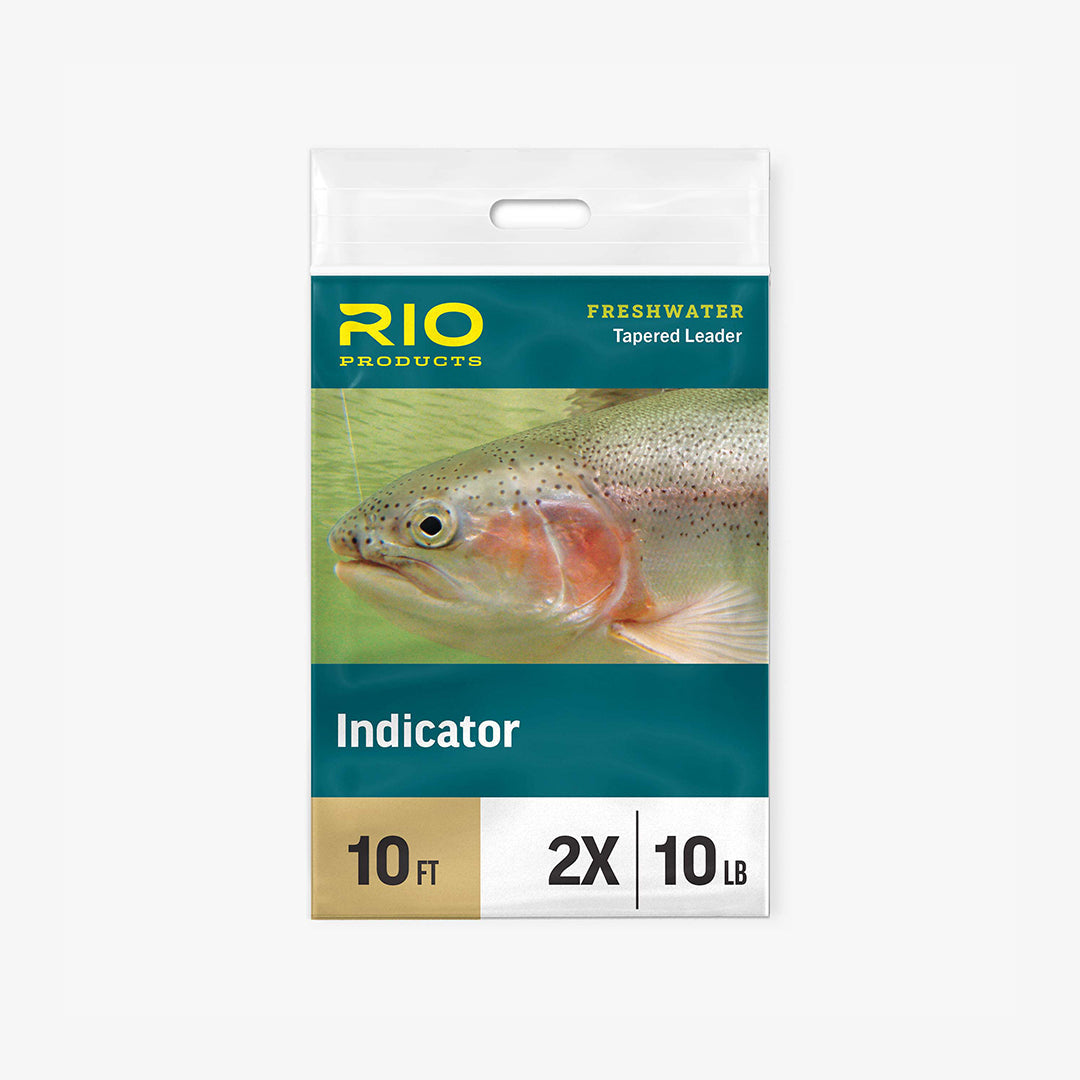 RIO Indicator Leaders