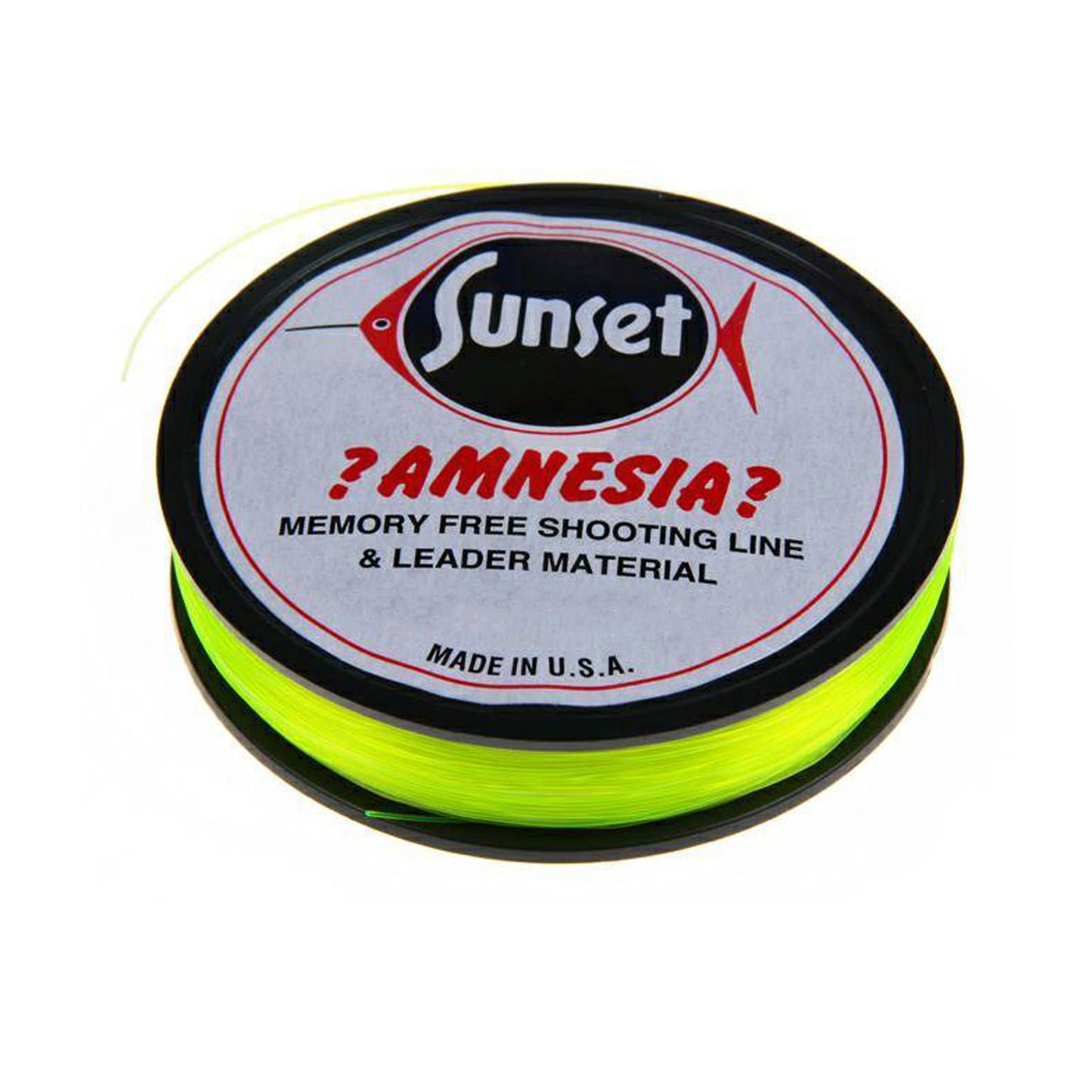 Amnesia