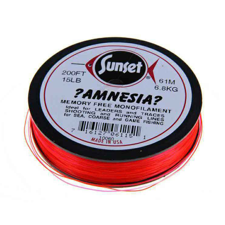 Amnesia
